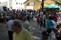 Clicca sulla foto per vedere ingrandimento